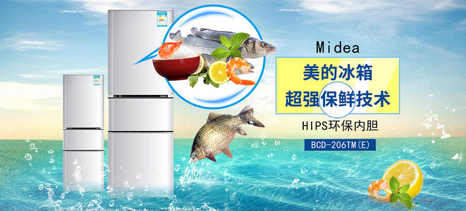 买个假的东帝汶护照